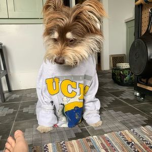 Vintage UCLA Rose Bowl crewneck sweatshirt.
